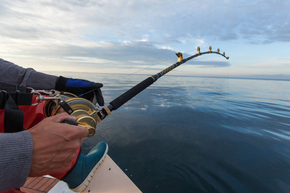 Attrezzatura da pesca