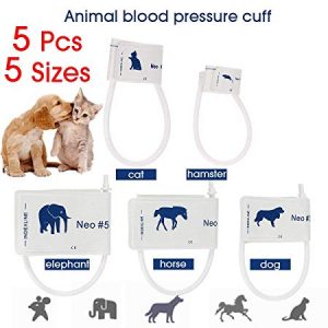migliori misuratori di pressione per cani